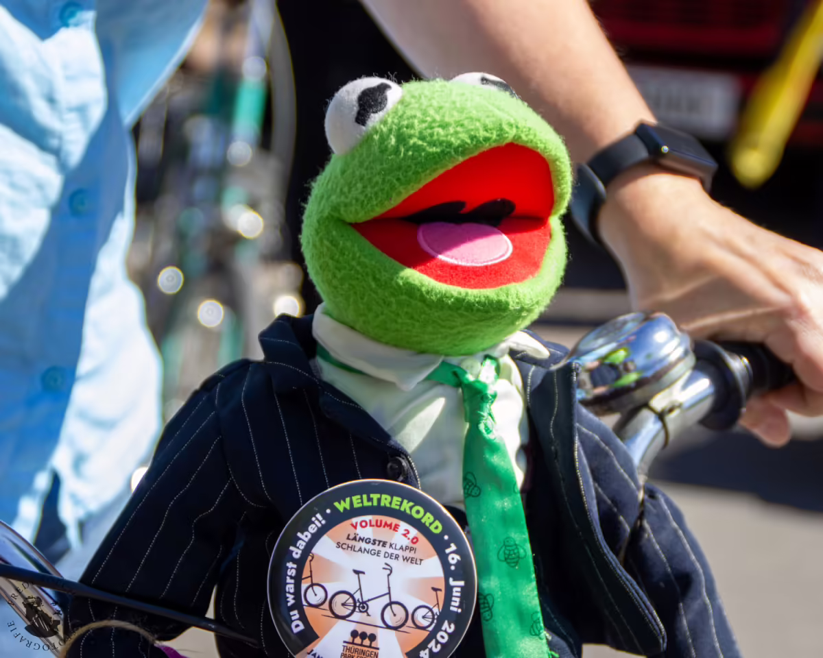 Klappischlange Teilnehmer